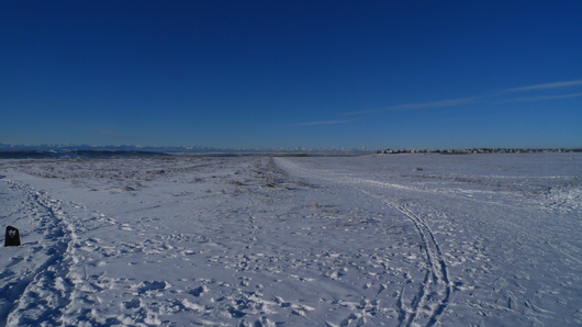 d0193569_99411.jpg