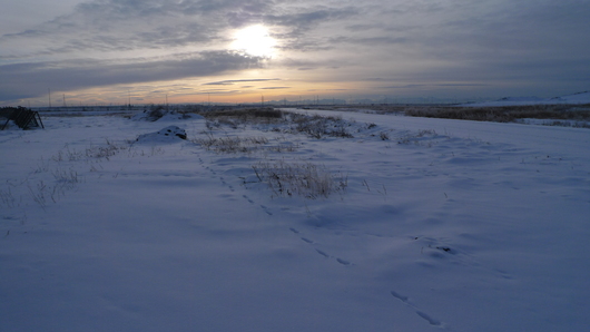 d0193569_995313.jpg