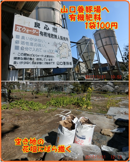 d0007071_21514279.jpg