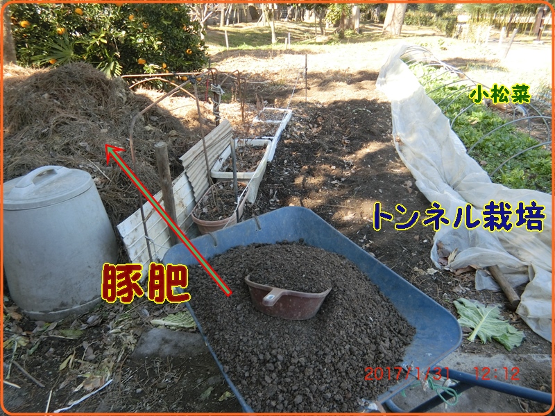 d0007071_21525025.jpg