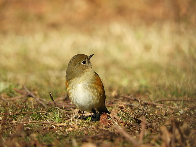 f0378979_1923649.jpg