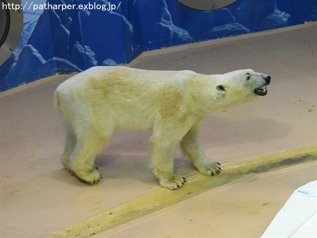 a0052986_7321447.jpg