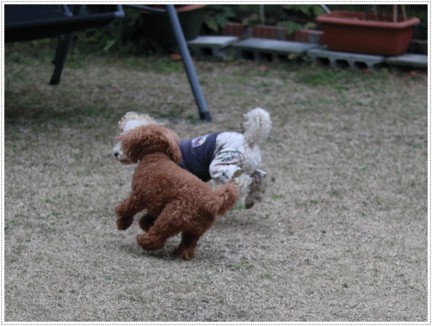 b0175688_00284434.gif