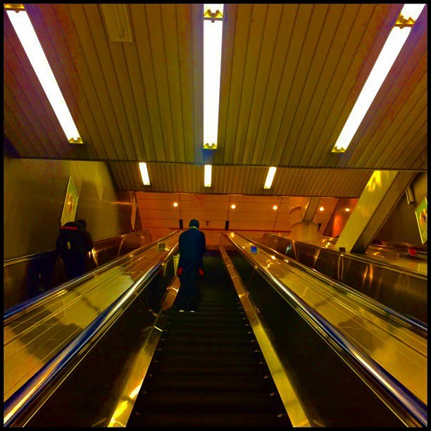 c0026089_1730728.jpg