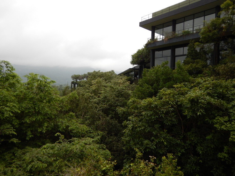 b0195093_13490659.jpg