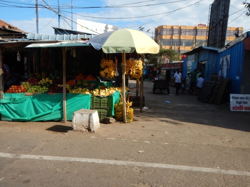 b0195093_13531566.jpg