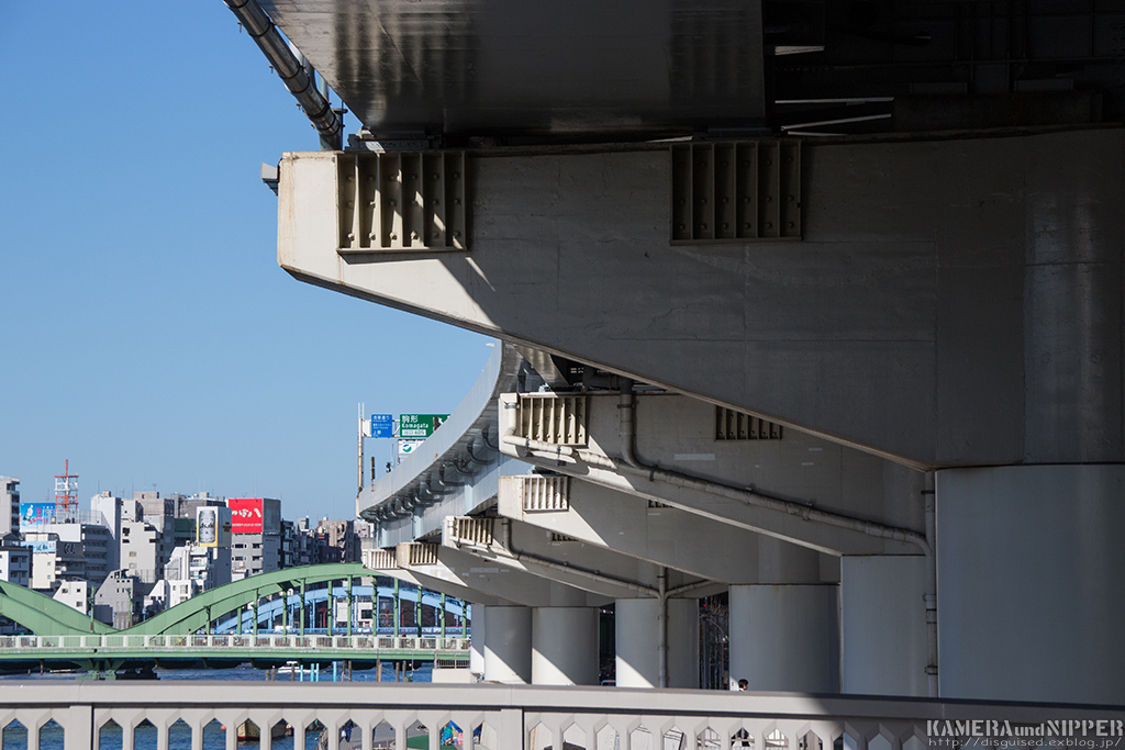 a0207595_201428100.jpg