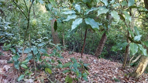 b0028299_21083366.jpg