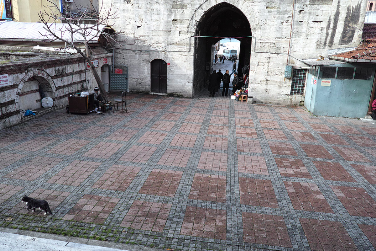c0065410_1224159.jpg