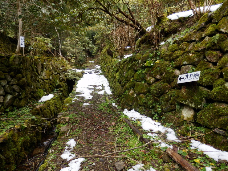 f0219710_12463750.jpg