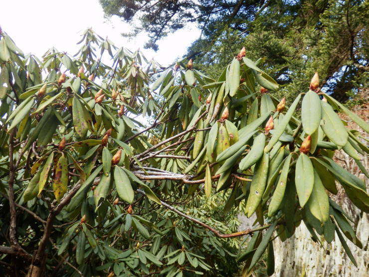 f0219710_12492698.jpg