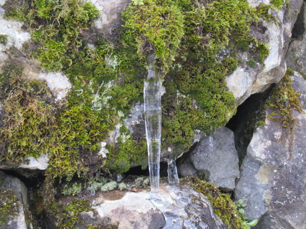 d0103314_16541368.jpg