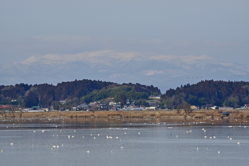 e0349817_21541058.jpg