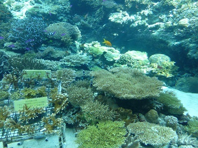 c0227720_00593496.jpg