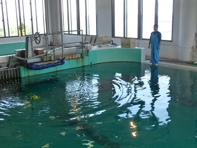 c0227720_01184244.jpg