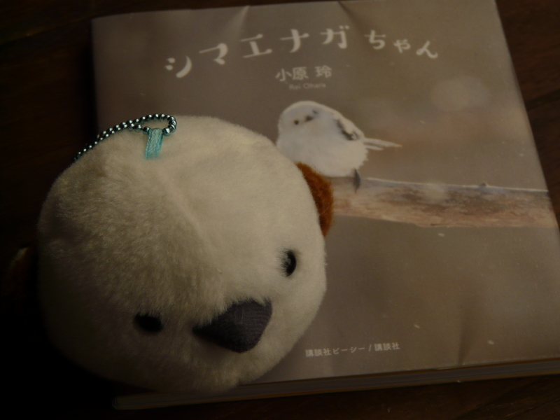 b0286321_09422464.jpg