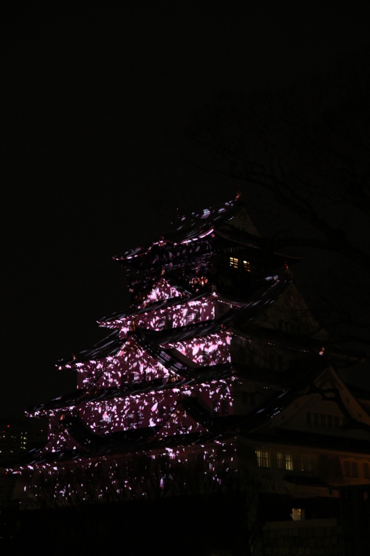 f0209122_18050457.jpg