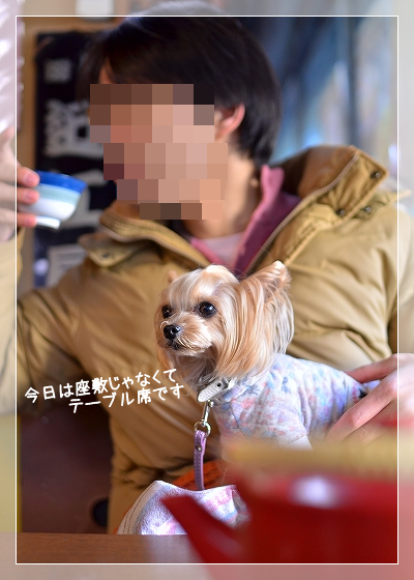 d0179828_08192968.png
