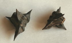 e0033229_20535110.jpg