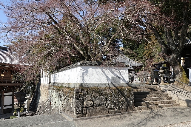 a0242438_20560304.jpg