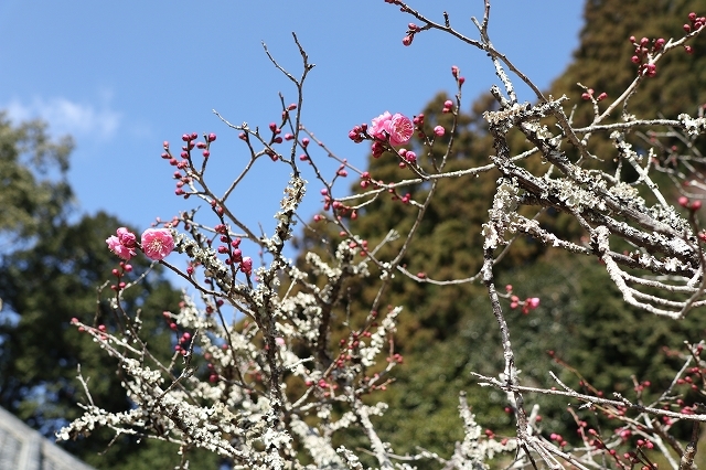 a0242438_20560378.jpg