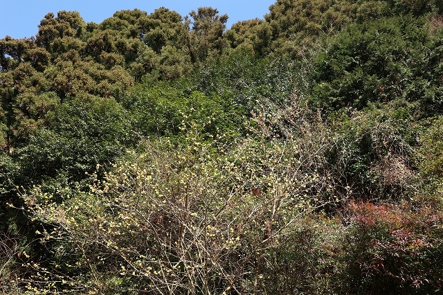 a0242438_20571719.jpg