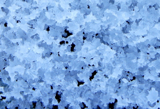 f0368538_09493126.jpg