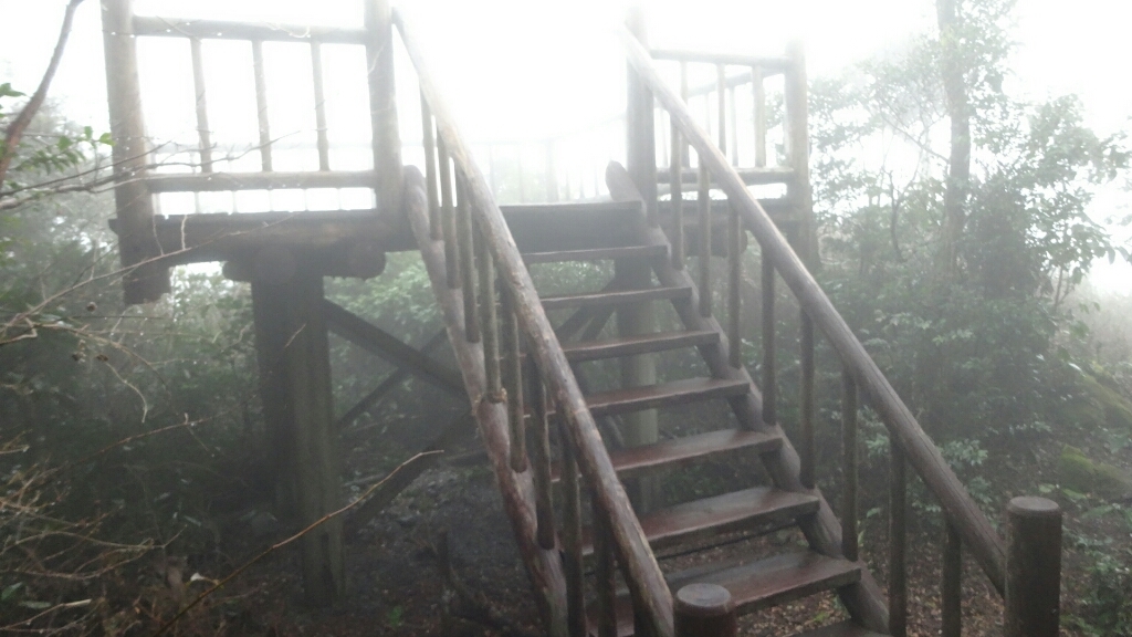 a0289641_00511440.jpg