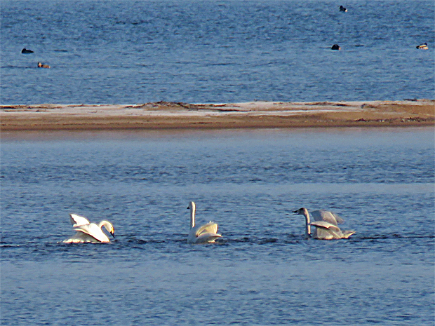 f0214649_20484260.jpg