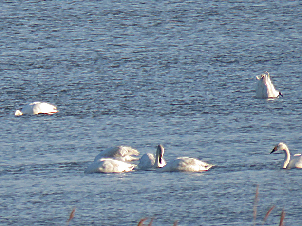 f0214649_21010111.jpg