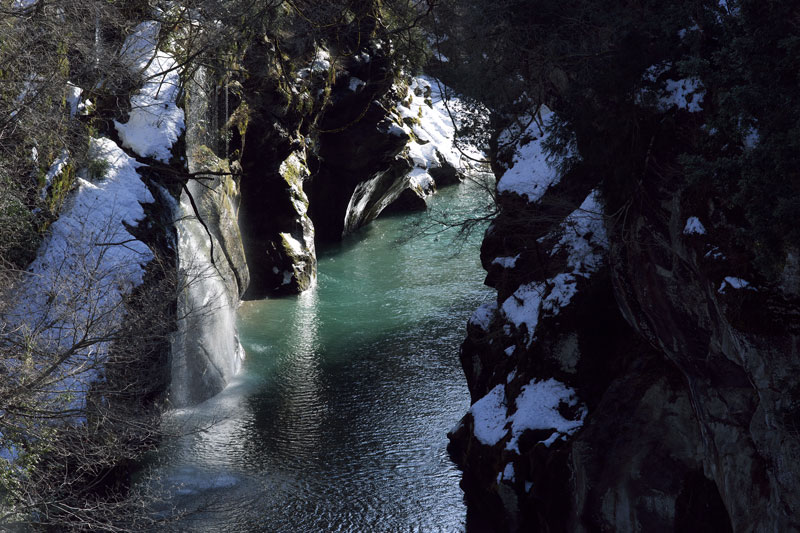 d0342652_2043109.jpg