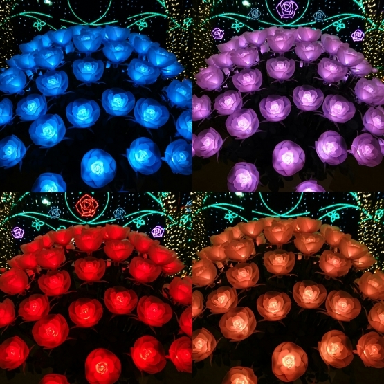 d0347253_21154458.jpg