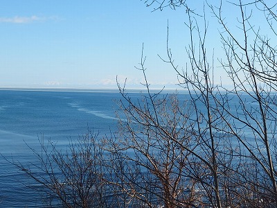 e0004756_20244939.jpg
