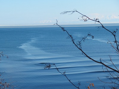 e0004756_20265673.jpg