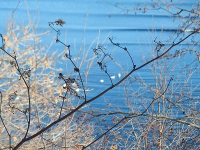 e0004756_2032575.jpg