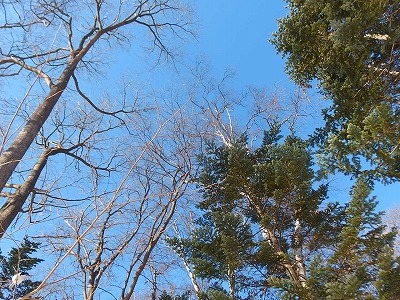 e0004756_20352746.jpg