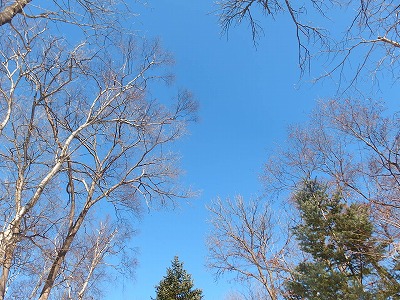 e0004756_20355958.jpg