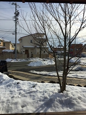 e0001860_2142155.jpg