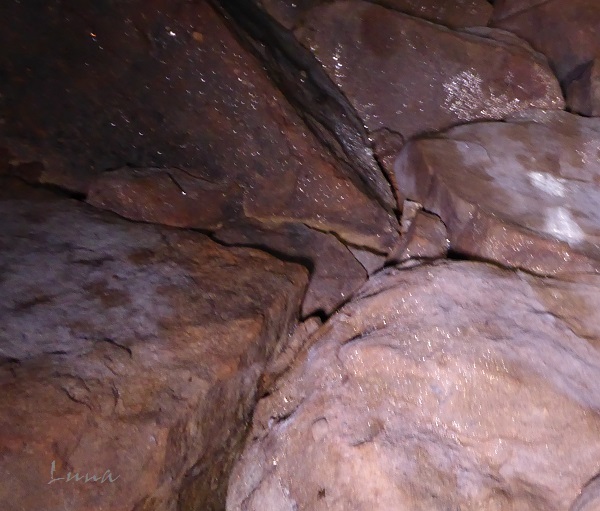 c0222861_20225715.jpg