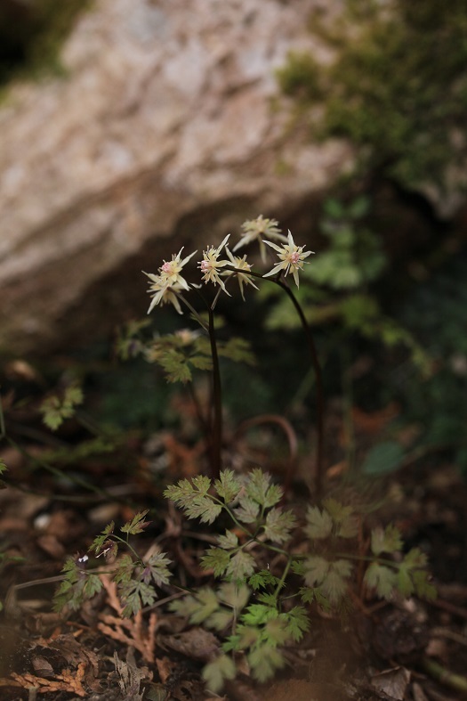 e0304170_19015855.jpg