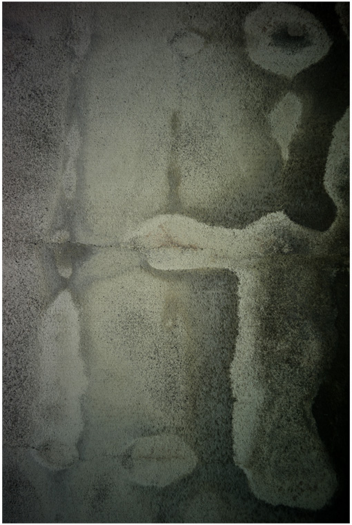 c0168172_22425625.jpg