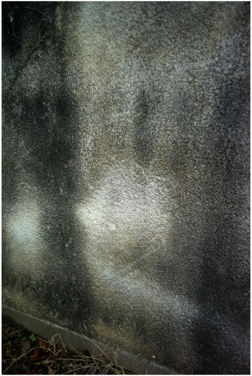c0168172_22435679.jpg