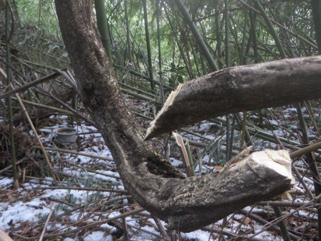 e0148077_20253457.jpg