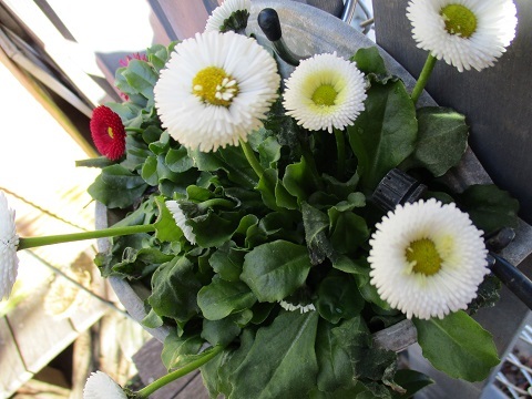 a0053480_07081989.jpg