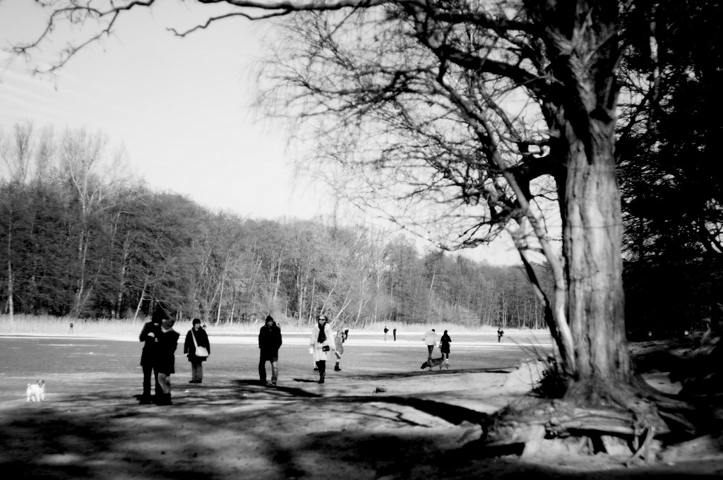 c0180686_20163090.jpg