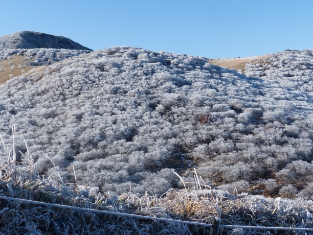 f0357487_20152767.jpg