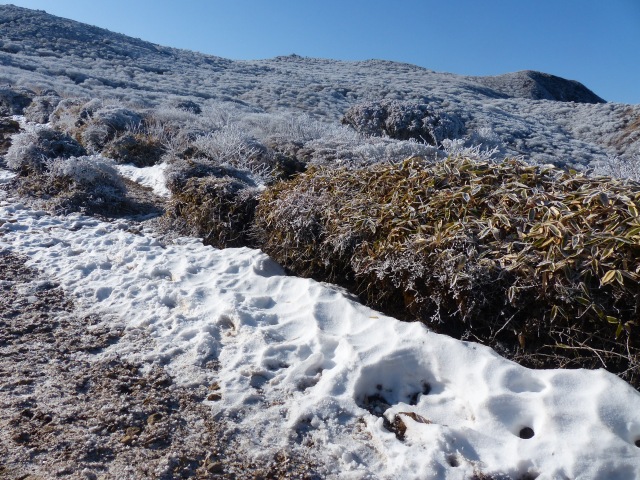 f0357487_20163020.jpg