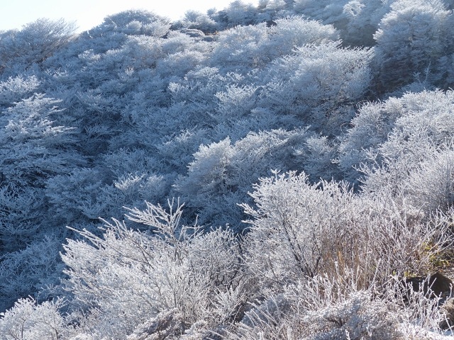 f0357487_20195384.jpg