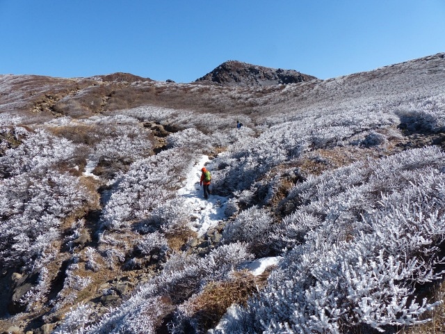 f0357487_20291429.jpg