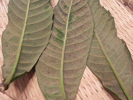 c0152002_21430031.jpg